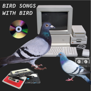 Bird Songs with Bird